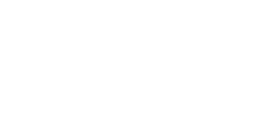 Unforgettable Fogging Solutions